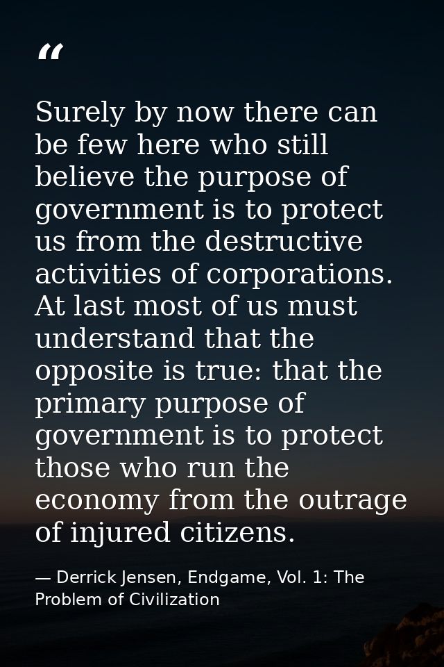 Surely by now there can be few here who still believe the purpose of government is to protect us from the destructive ac — Derrick Jensen, Endgame, Vol. 1: The Problem of Civilization
