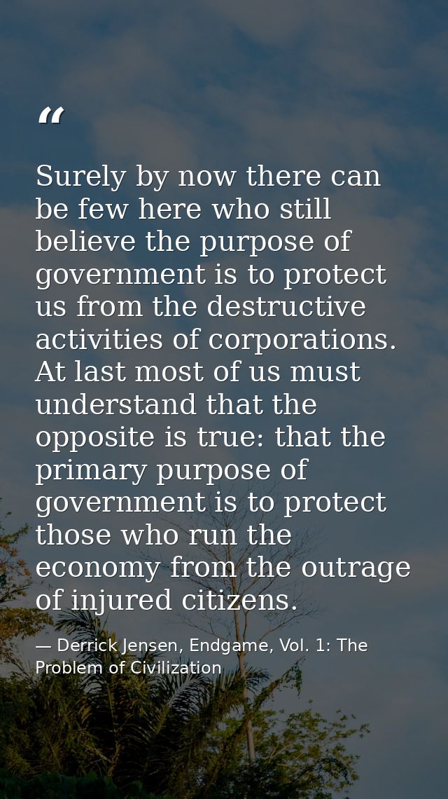 Surely by now there can be few here who still believe the purpose of government is to protect us from the destructive ac — Derrick Jensen, Endgame, Vol. 1: The Problem of Civilization