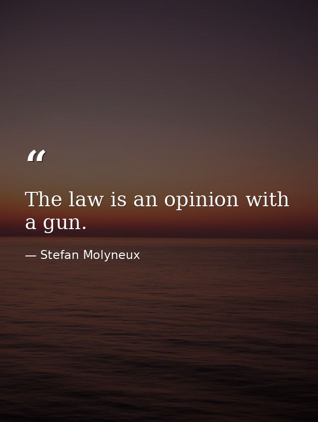 The law is an opinion with a gun. — Stefan Molyneux