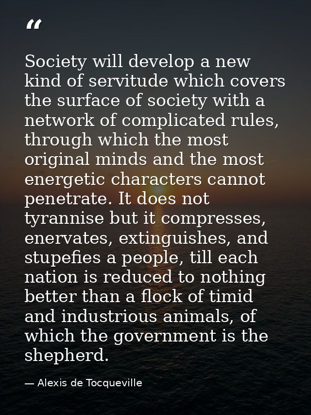 Society will develop a new kind of servitude which covers the surface of society with a network of complicated rules, th — Alexis de Tocqueville