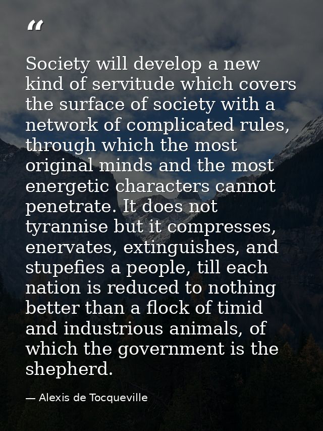 Society will develop a new kind of servitude which covers the surface of society with a network of complicated rules, th — Alexis de Tocqueville