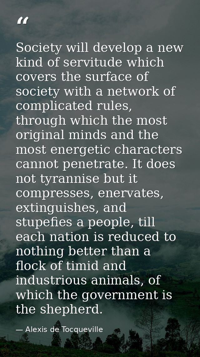 Society will develop a new kind of servitude which covers the surface of society with a network of complicated rules, th — Alexis de Tocqueville
