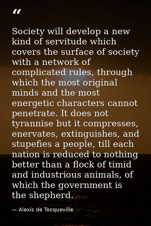Society will develop a new kind of servitude which covers the surface of society with a network of complicated rules, th — Alexis de Tocqueville