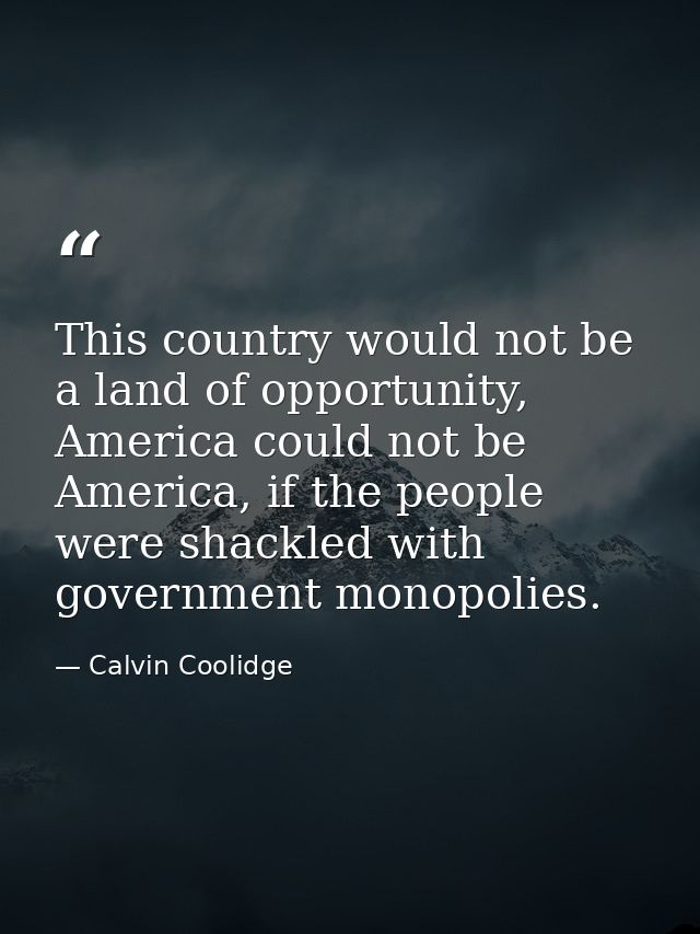 This country would not be a land of opportunity, America could not be America, if the people were shackled with governme — Calvin Coolidge