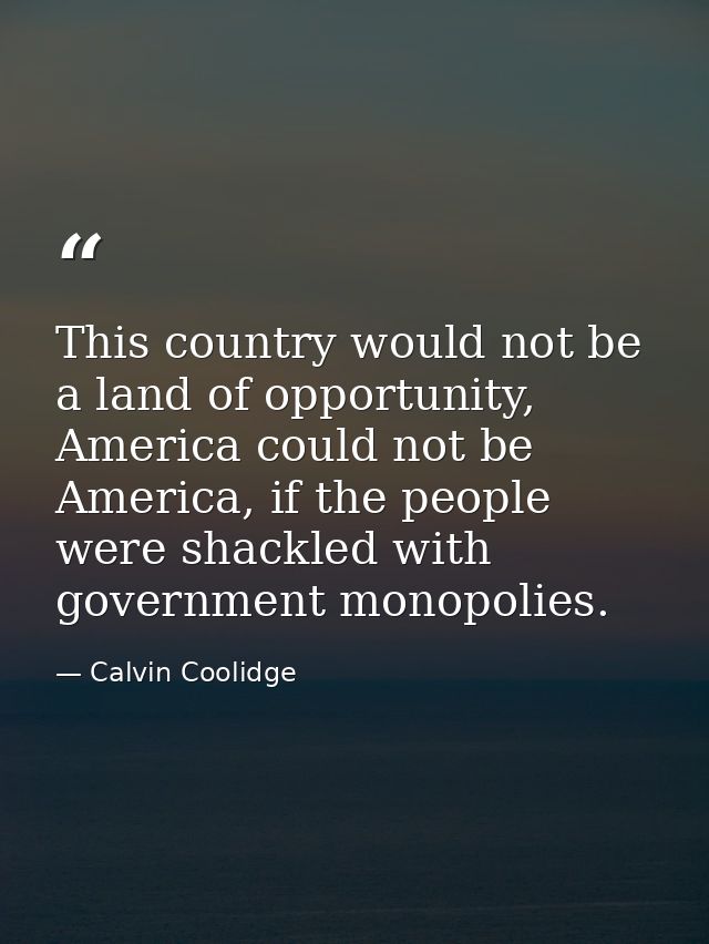 This country would not be a land of opportunity, America could not be America, if the people were shackled with governme — Calvin Coolidge