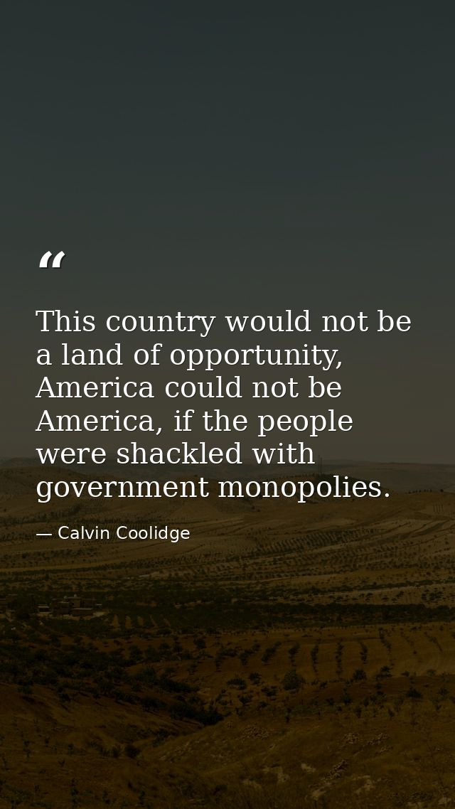 This country would not be a land of opportunity, America could not be America, if the people were shackled with governme — Calvin Coolidge