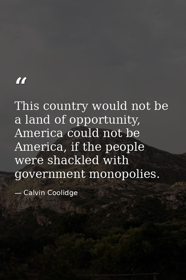 This country would not be a land of opportunity, America could not be America, if the people were shackled with governme — Calvin Coolidge