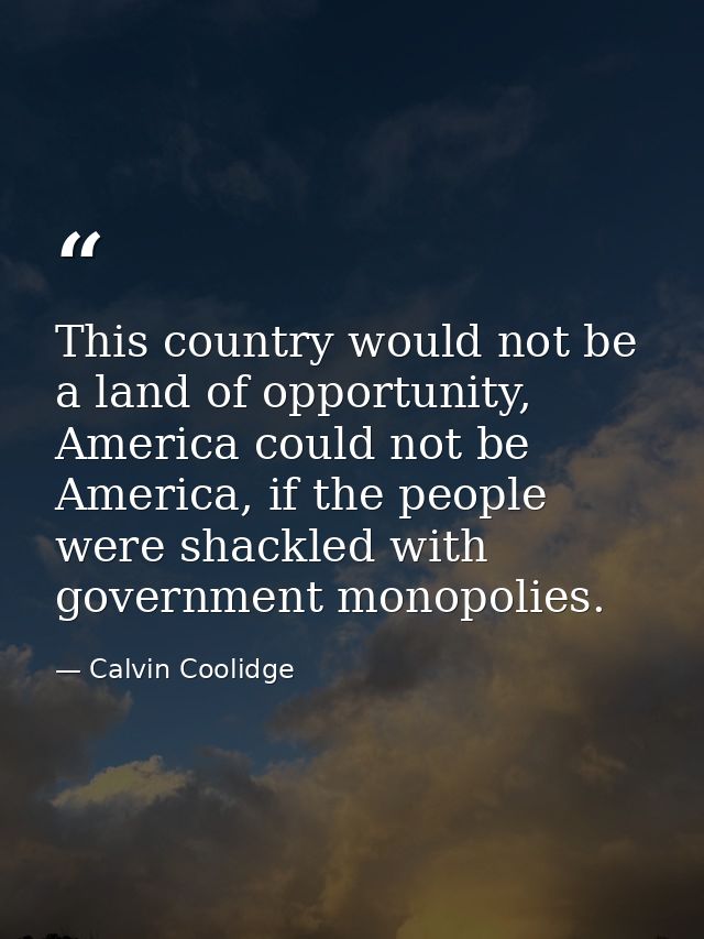This country would not be a land of opportunity, America could not be America, if the people were shackled with governme — Calvin Coolidge