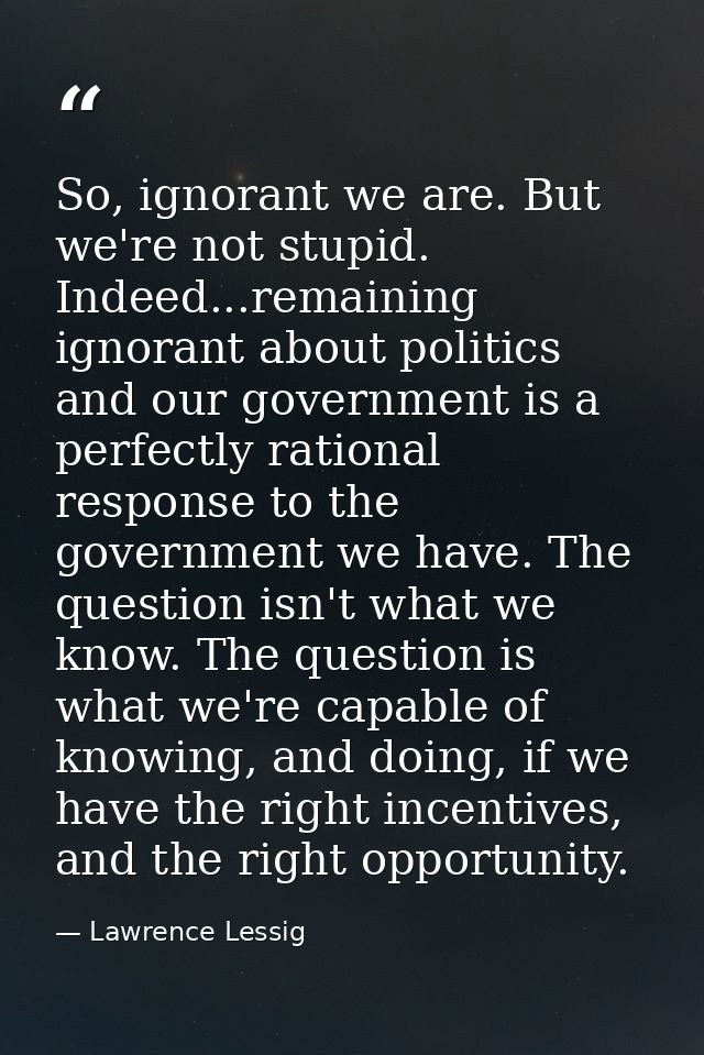 So, ignorant we are. But we're not stupid. Indeed...remaining ignorant about politics and our government is a perfectly  — Lawrence Lessig