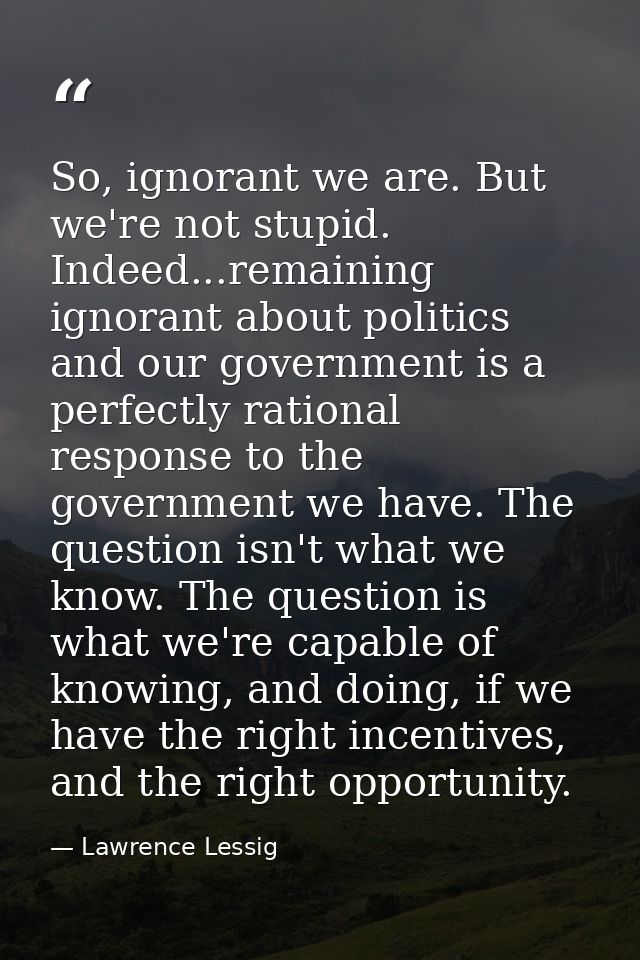 So, ignorant we are. But we're not stupid. Indeed...remaining ignorant about politics and our government is a perfectly  — Lawrence Lessig