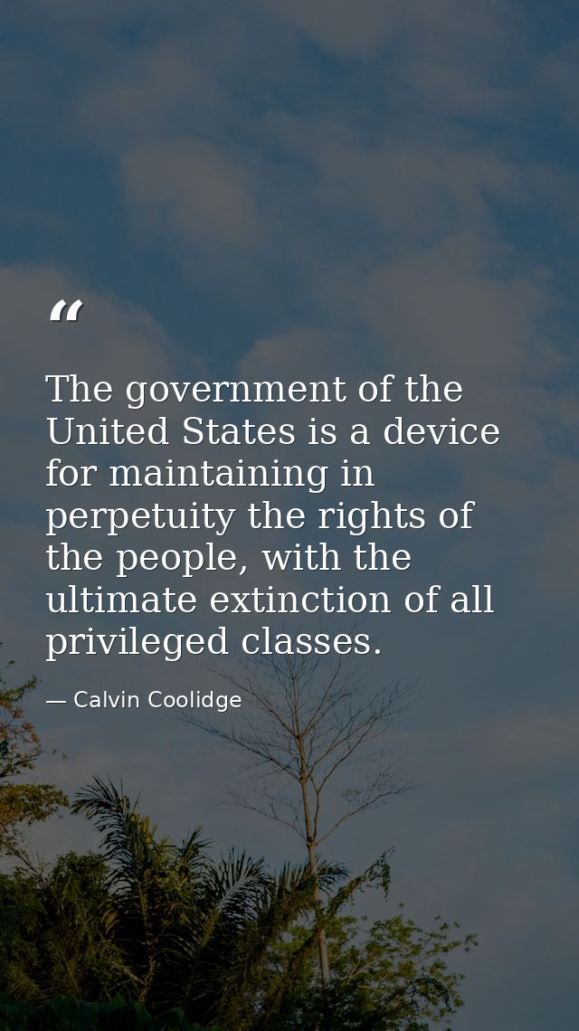 The government of the United States is a device for maintaining in perpetuity the rights of the people, with the ultimat — Calvin Coolidge