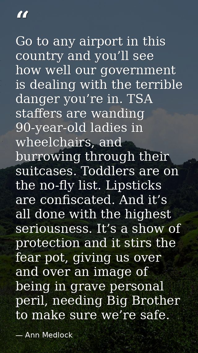 Go to any airport in this country and you’ll see how well our government is dealing with the terrible danger you’re in.  — Ann Medlock