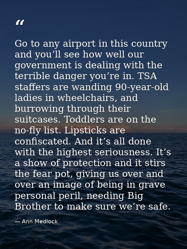 Go to any airport in this country and you’ll see how well our government is dealing with the terrible danger you’re in.  — Ann Medlock
