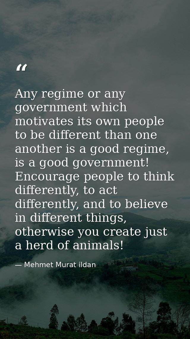 Any regime or any government which motivates its own people to be different than one another is a good regime, is a good — Mehmet Murat ildan