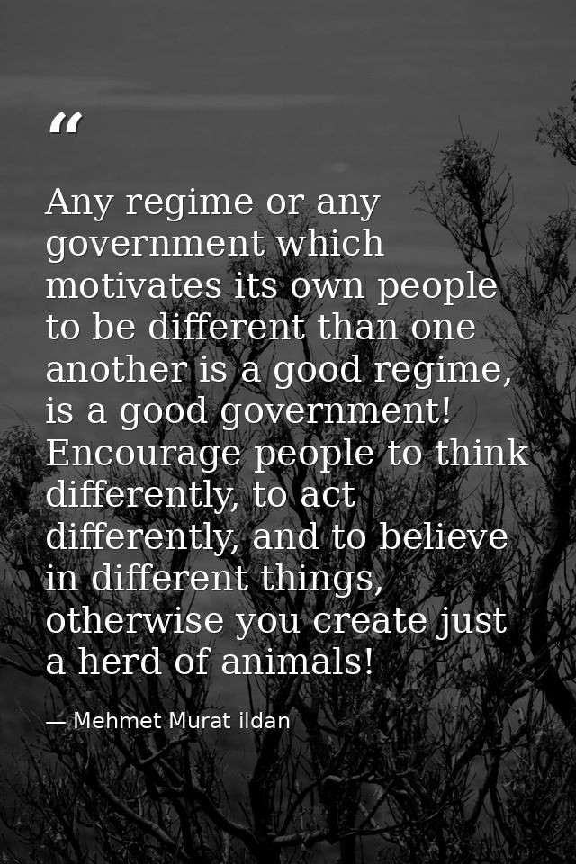 Any regime or any government which motivates its own people to be different than one another is a good regime, is a good — Mehmet Murat ildan