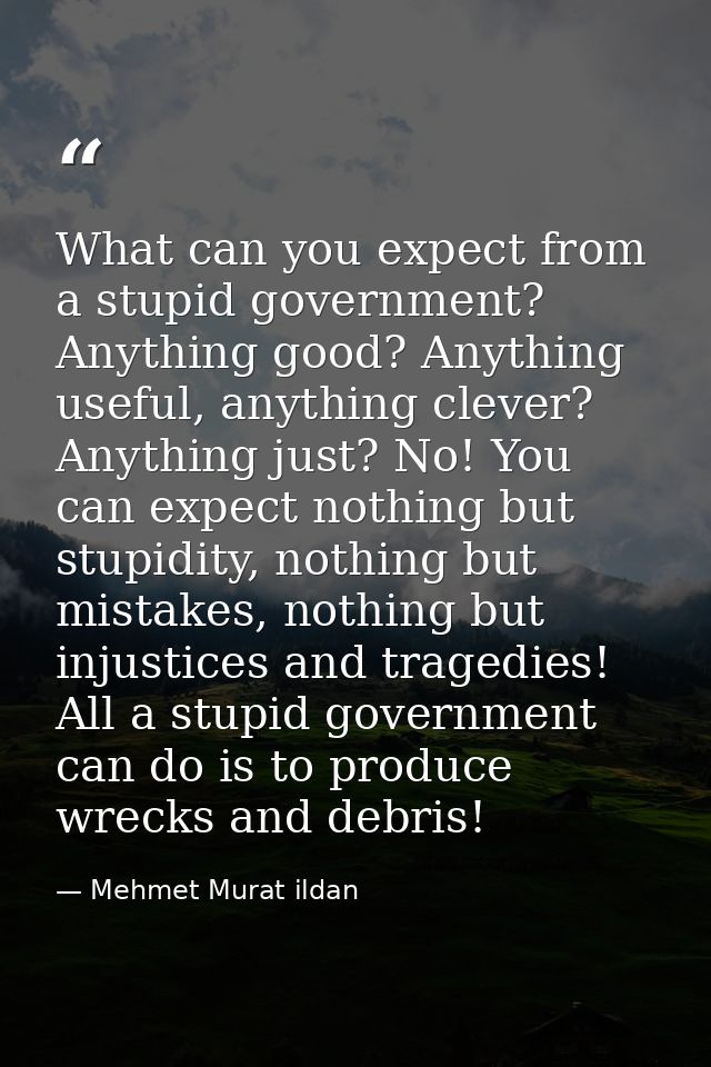 What can you expect from a stupid government? Anything good? Anything useful, anything clever? Anything just? No! You ca — Mehmet Murat ildan