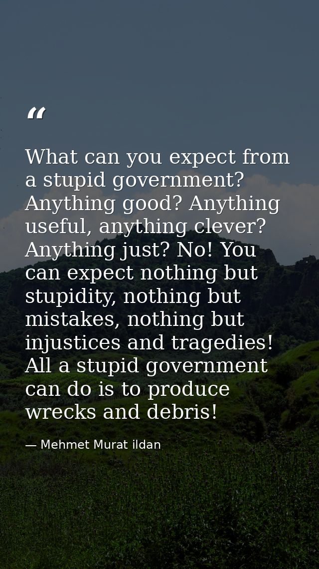 What can you expect from a stupid government? Anything good? Anything useful, anything clever? Anything just? No! You ca — Mehmet Murat ildan