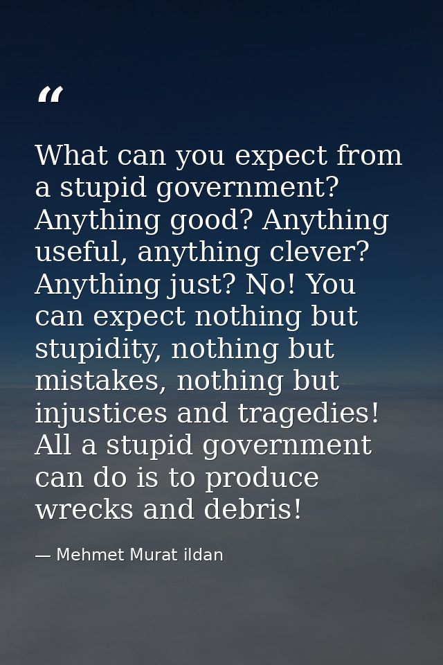 What can you expect from a stupid government? Anything good? Anything useful, anything clever? Anything just? No! You ca — Mehmet Murat ildan
