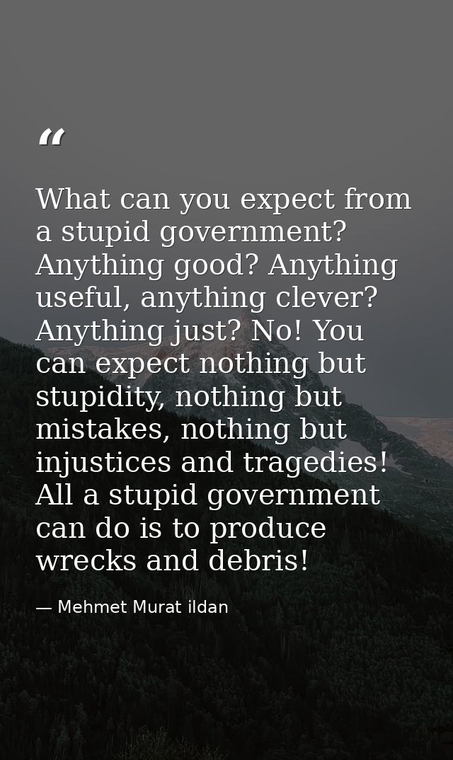What can you expect from a stupid government? Anything good? Anything useful, anything clever? Anything just? No! You ca — Mehmet Murat ildan