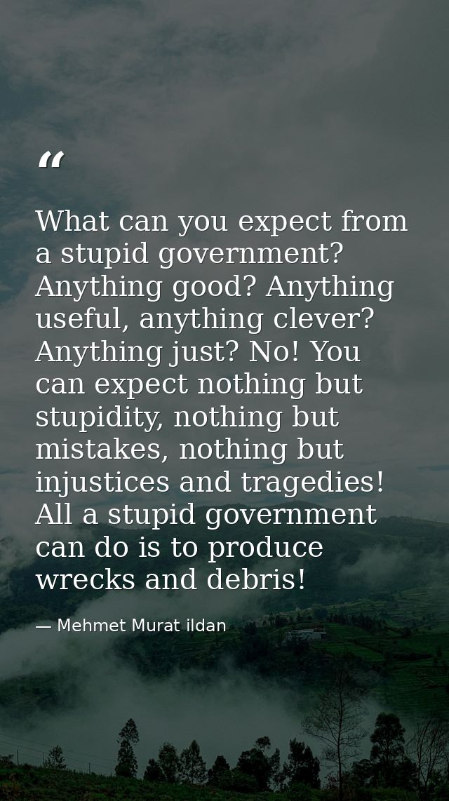 What can you expect from a stupid government? Anything good? Anything useful, anything clever? Anything just? No! You ca — Mehmet Murat ildan