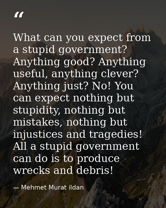 What can you expect from a stupid government? Anything good? Anything useful, anything clever? Anything just? No! You ca — Mehmet Murat ildan