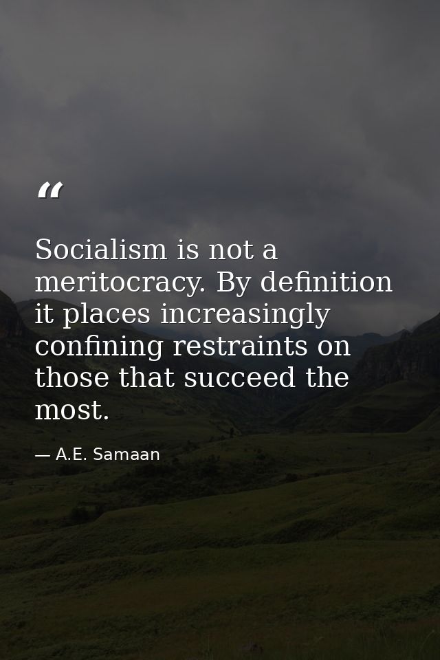 Socialism is not a meritocracy. By definition it places increasingly confining restraints on those that succeed the most — A.E. Samaan