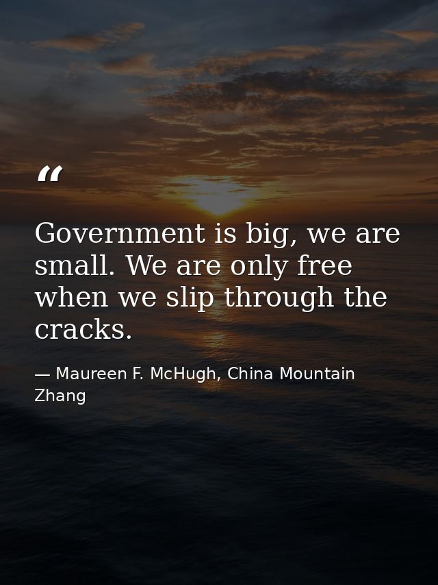 Government is big, we are small. We are only free when we slip through the cracks. — Maureen F. McHugh, China Mountain Zhang