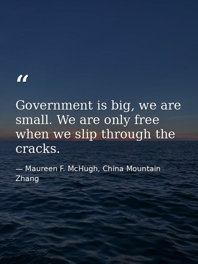 Government is big, we are small. We are only free when we slip through the cracks. — Maureen F. McHugh, China Mountain Zhang