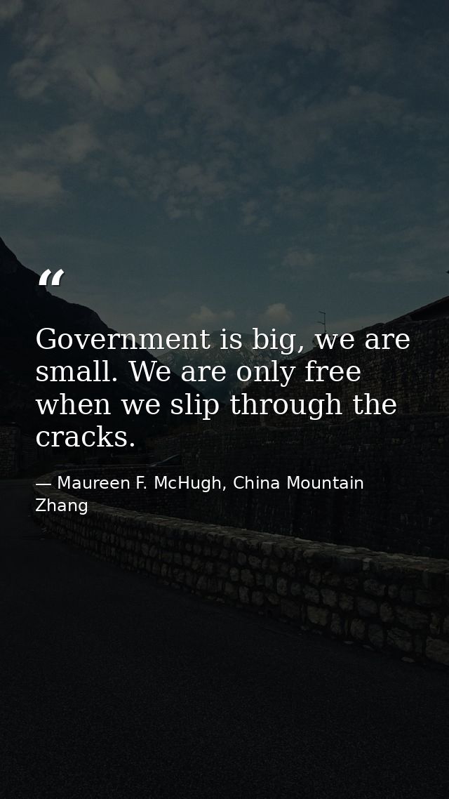 Government is big, we are small. We are only free when we slip through the cracks. — Maureen F. McHugh, China Mountain Zhang
