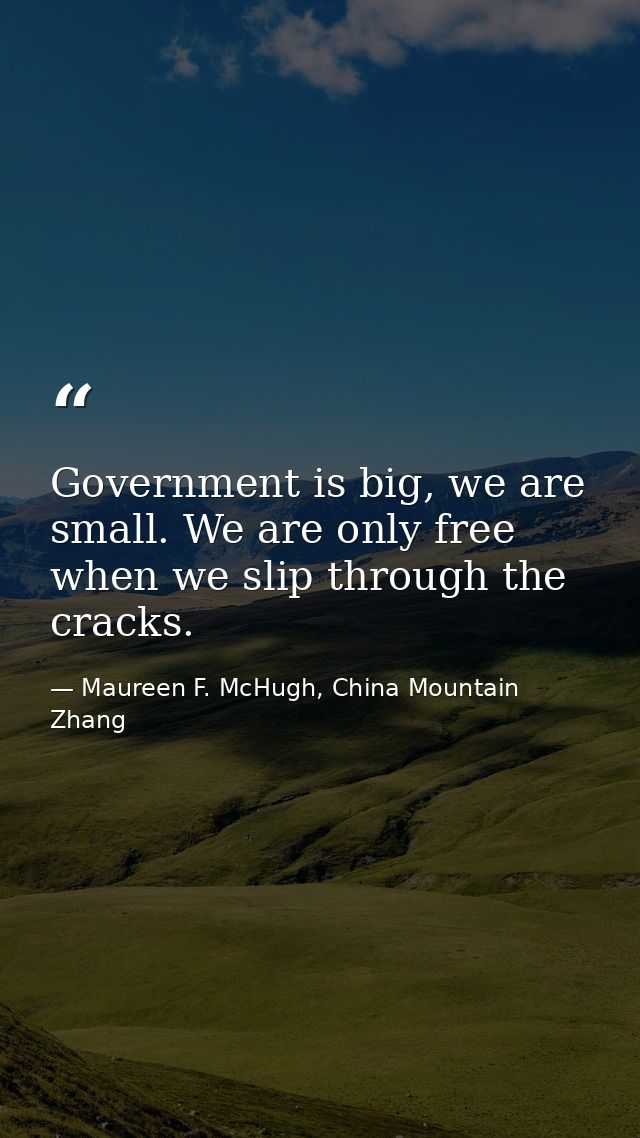 Government is big, we are small. We are only free when we slip through the cracks. — Maureen F. McHugh, China Mountain Zhang