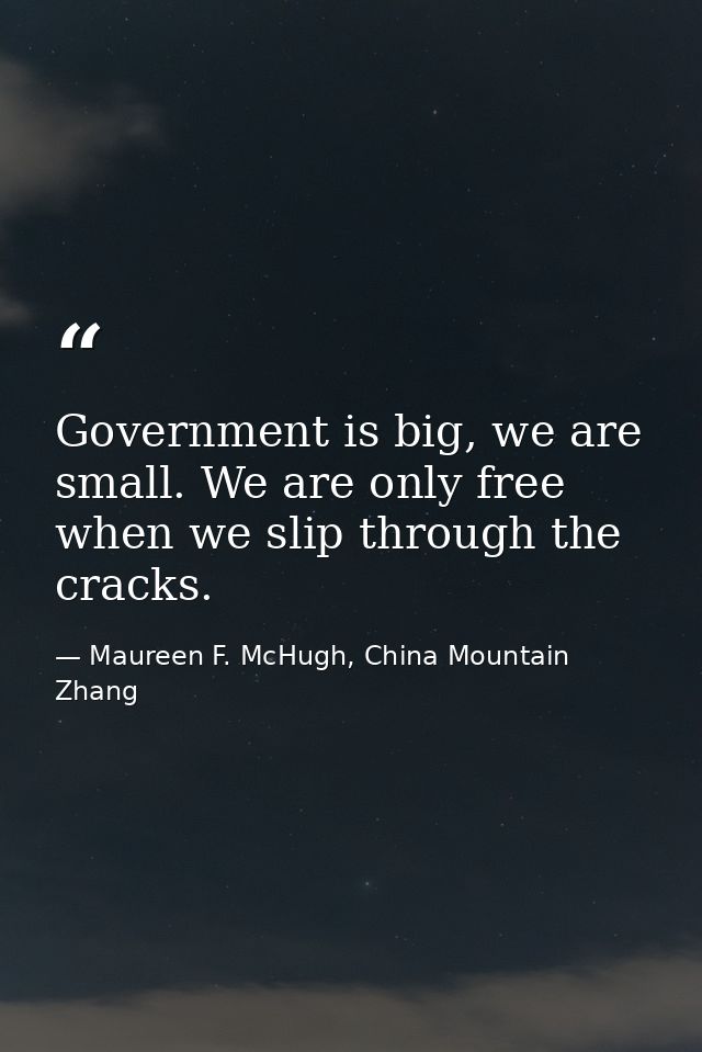 Government is big, we are small. We are only free when we slip through the cracks. — Maureen F. McHugh, China Mountain Zhang