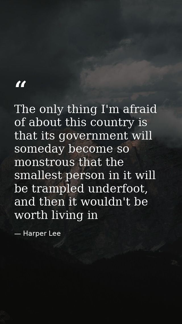 The only thing I'm afraid of about this country is that its government will someday become so monstrous that the smalles — Harper Lee