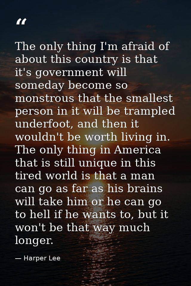The only thing I'm afraid of about this country is that it's government will someday become so monstrous that the smalle — Harper Lee