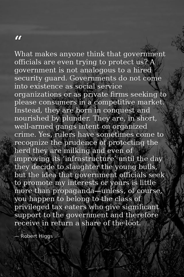 What makes anyone think that government officials are even trying to protect us? A government is not analogous to a hire — Robert Higgs