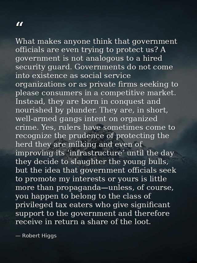 What makes anyone think that government officials are even trying to protect us? A government is not analogous to a hire — Robert Higgs