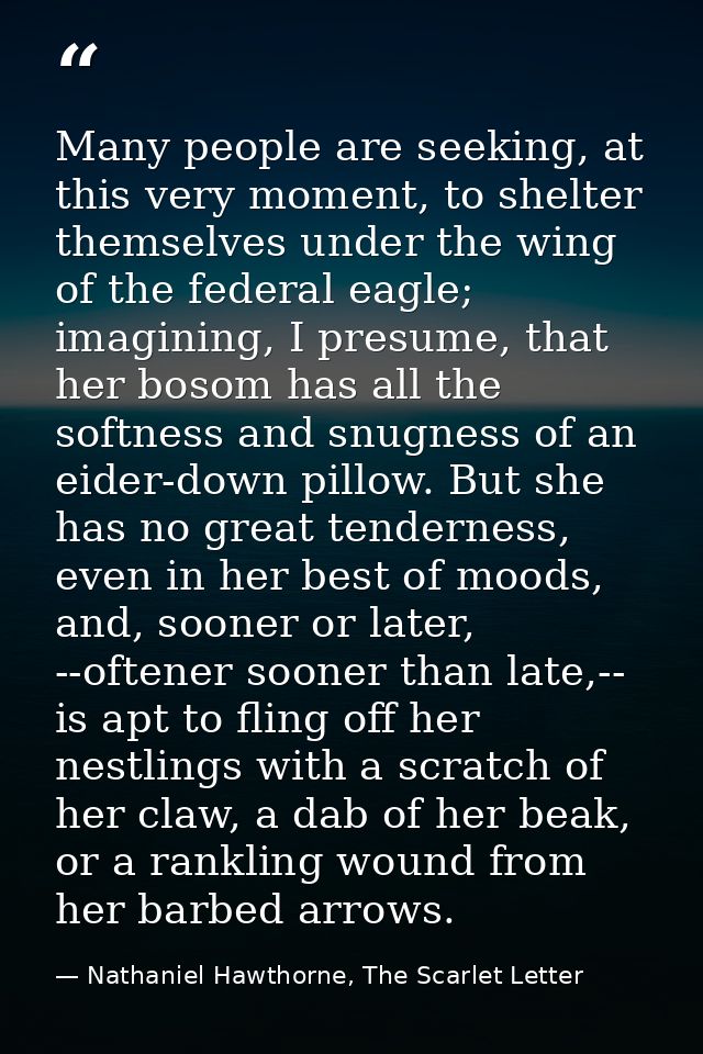 Many people are seeking, at this very moment, to shelter themselves under the wing of the federal eagle; imagining, I pr — Nathaniel Hawthorne, The Scarlet Letter