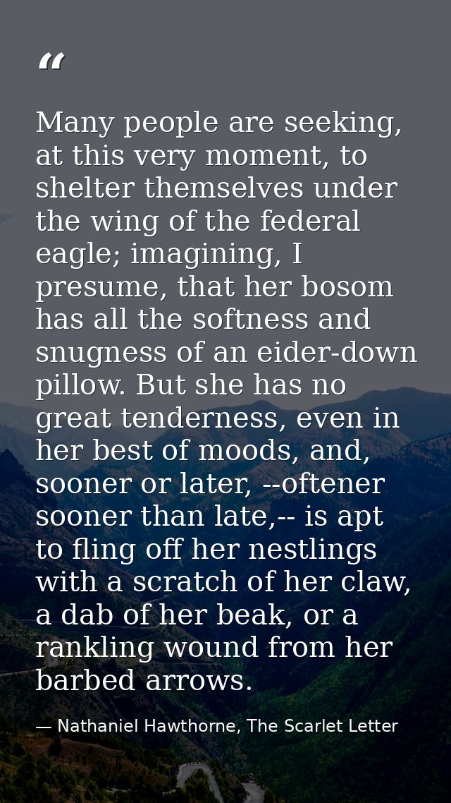 Many people are seeking, at this very moment, to shelter themselves under the wing of the federal eagle; imagining, I pr — Nathaniel Hawthorne, The Scarlet Letter