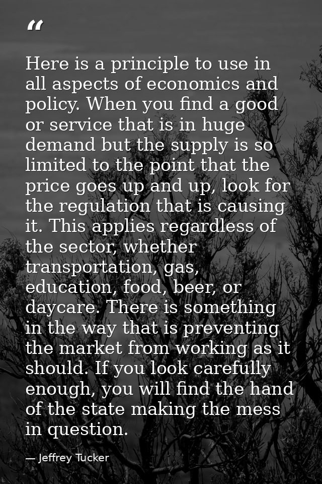 Here is a principle to use in all aspects of economics and policy. When you find a good or service that is in huge deman — Jeffrey Tucker