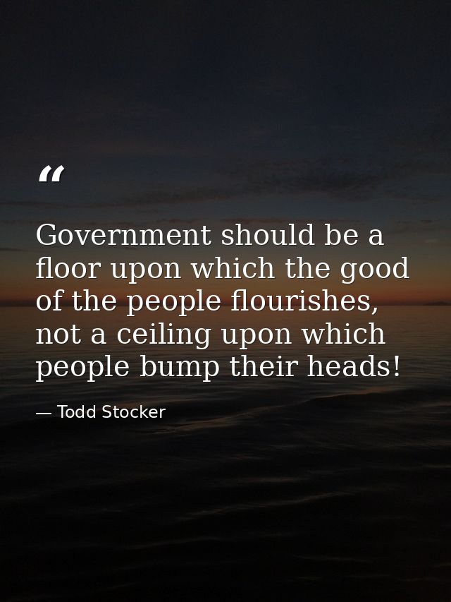 Government should be a floor upon which the good of the people flourishes, not a ceiling upon which people bump their he — Todd Stocker