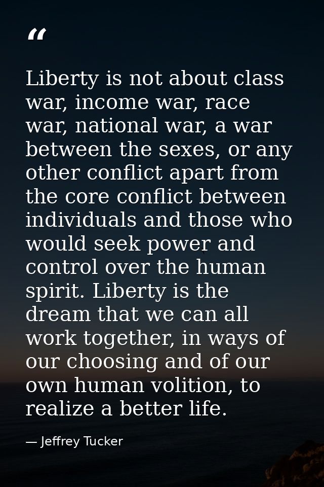 Liberty is not about class war, income war, race war, national war, a war between the sexes, or any other conflict apart — Jeffrey Tucker