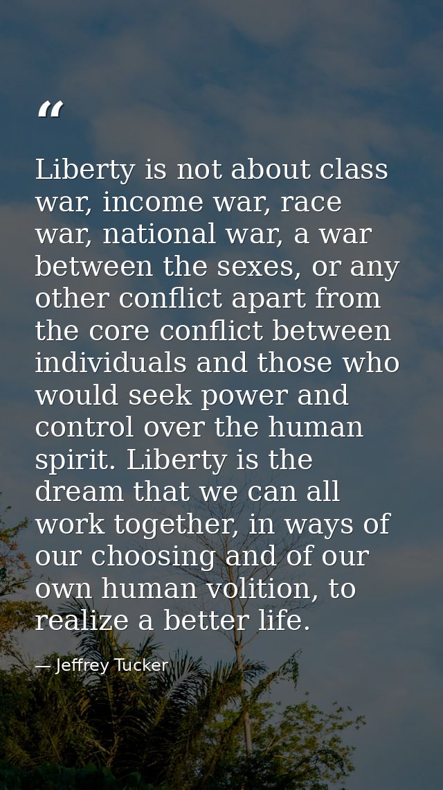 Liberty is not about class war, income war, race war, national war, a war between the sexes, or any other conflict apart — Jeffrey Tucker