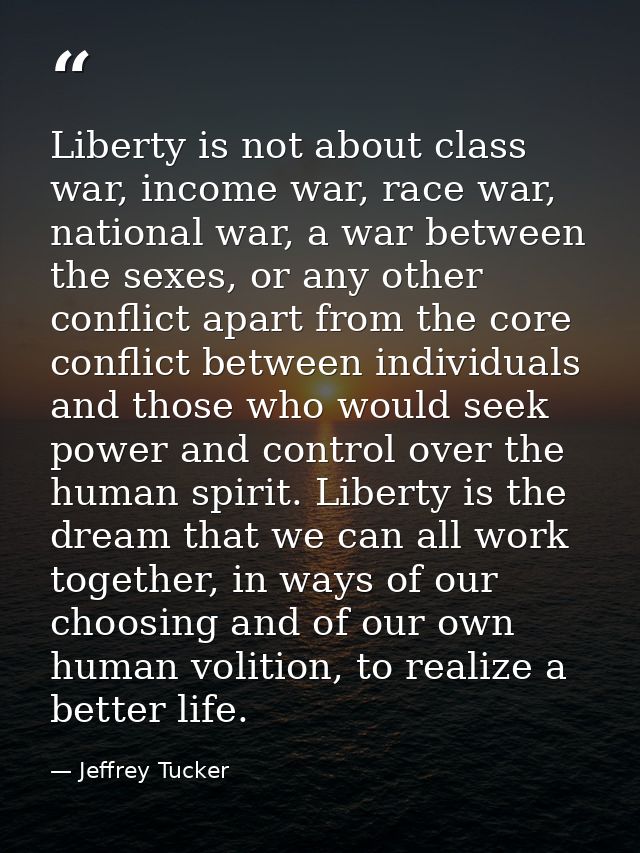 Liberty is not about class war, income war, race war, national war, a war between the sexes, or any other conflict apart — Jeffrey Tucker