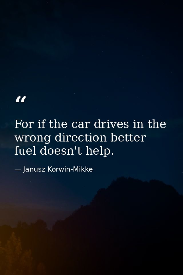 For if the car drives in the wrong direction better fuel doesn't help. — Janusz Korwin-Mikke