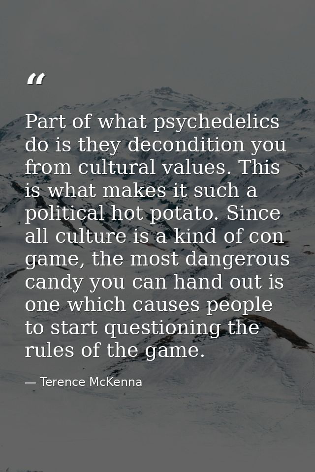 Part of what psychedelics do is they decondition you from cultural values. This is what makes it such a political hot po — Terence McKenna
