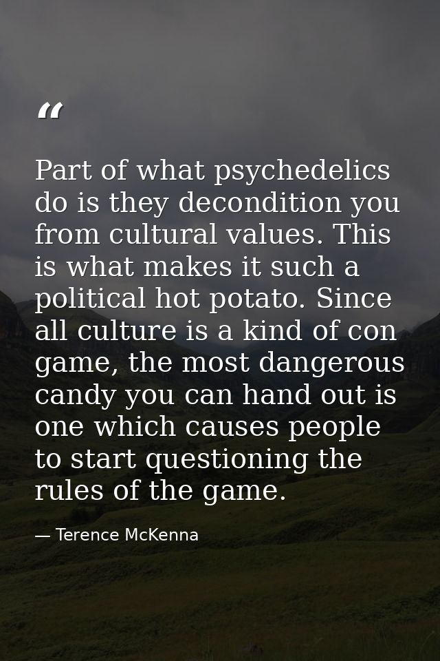 Part of what psychedelics do is they decondition you from cultural values. This is what makes it such a political hot po — Terence McKenna