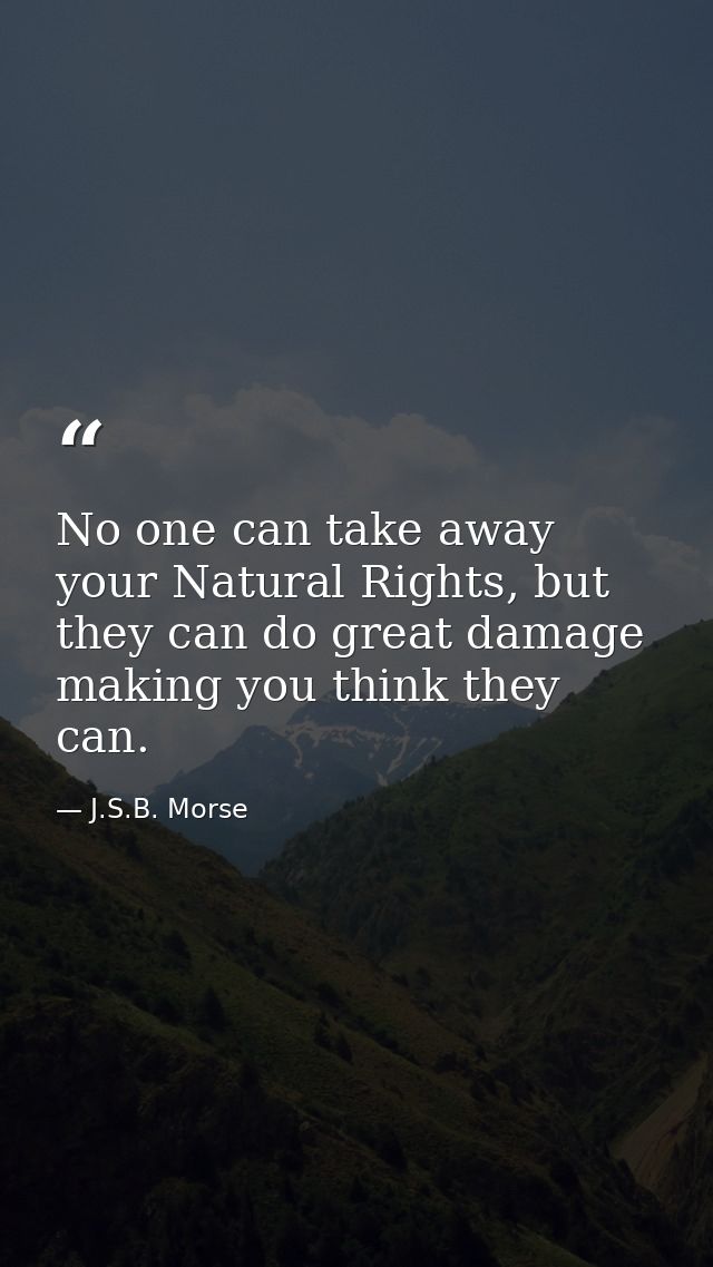 No one can take away your Natural Rights, but they can do great damage making you think they can. — J.S.B. Morse