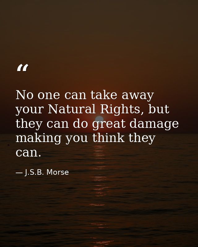 No one can take away your Natural Rights, but they can do great damage making you think they can. — J.S.B. Morse