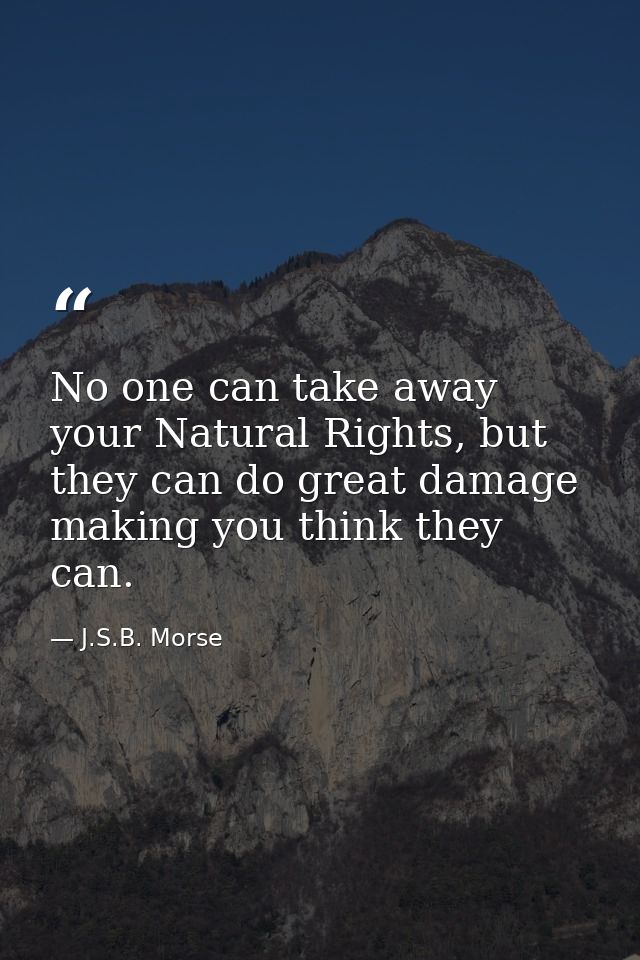 No one can take away your Natural Rights, but they can do great damage making you think they can. — J.S.B. Morse