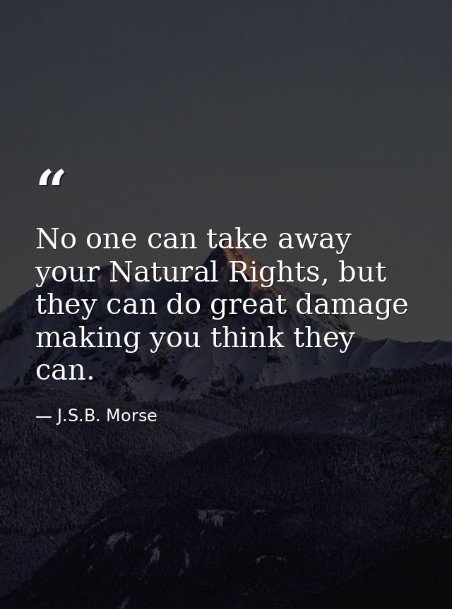 No one can take away your Natural Rights, but they can do great damage making you think they can. — J.S.B. Morse