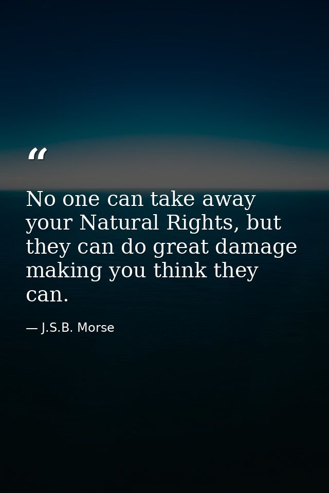No one can take away your Natural Rights, but they can do great damage making you think they can. — J.S.B. Morse